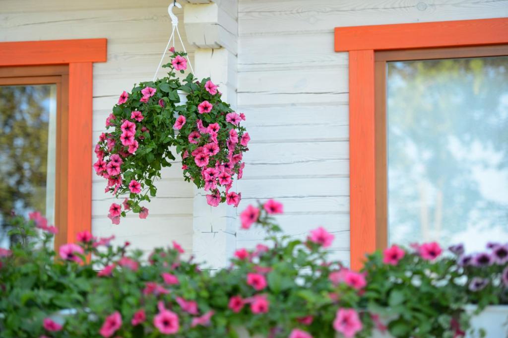 Vasekoja Holiday Center Vahtseliina Екстериор снимка