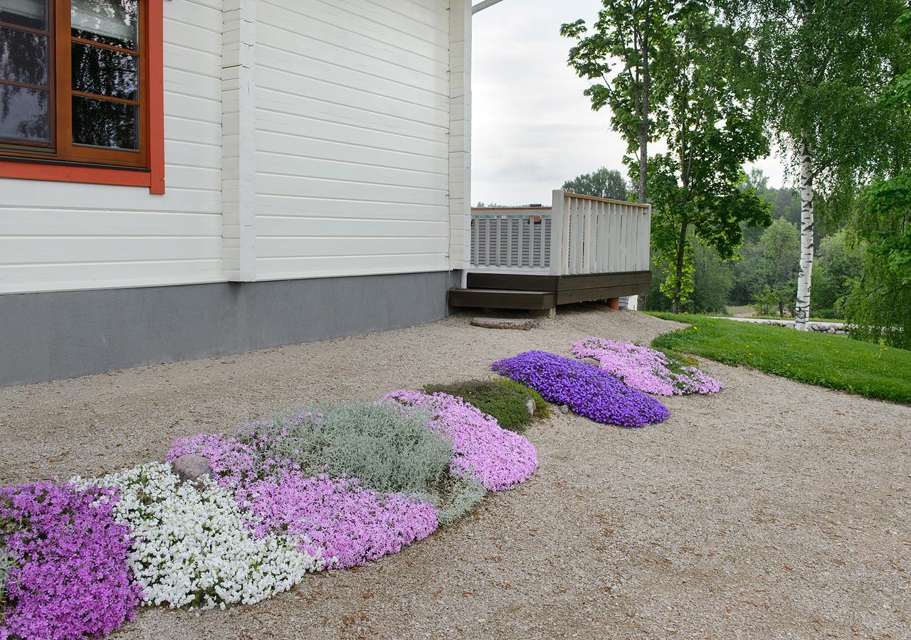 Vasekoja Holiday Center Vahtseliina Екстериор снимка